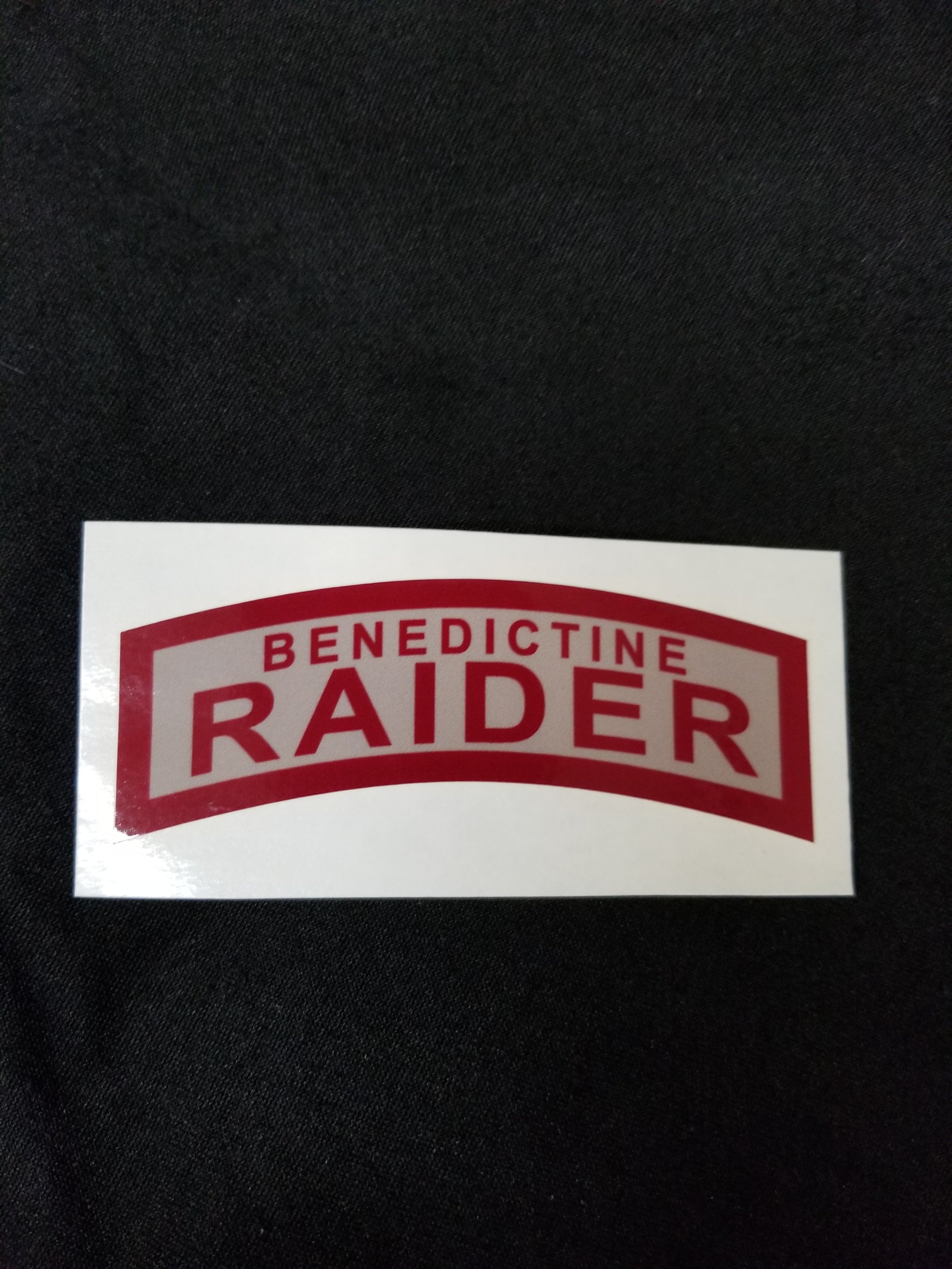 Raider Sticker Grey