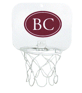 Basketball Hoop w/ Ball - (Youth)